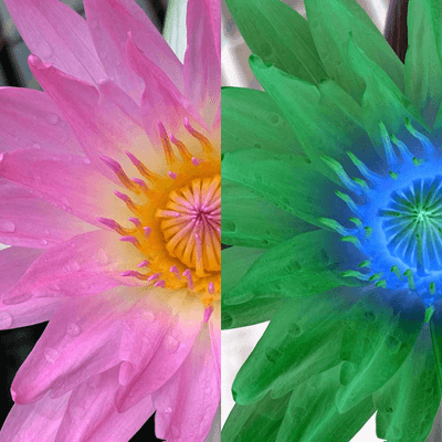 Image output for example 2