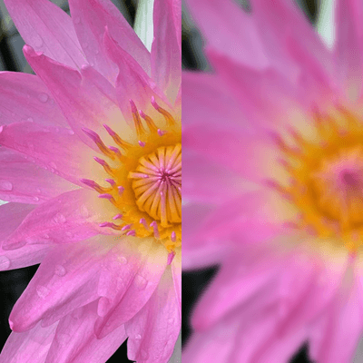 Image output for example 4